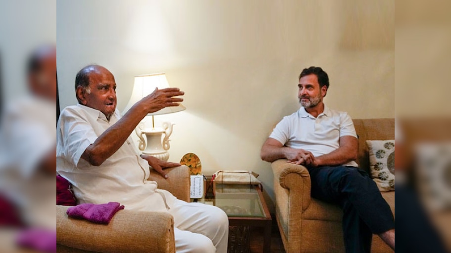 पवार गट काँग्रेसमध्ये विलीन होणार? पवारांच्या विधानाने खळबळ; म्हणाले, 'काँग्रेस आणि आमच्या..'