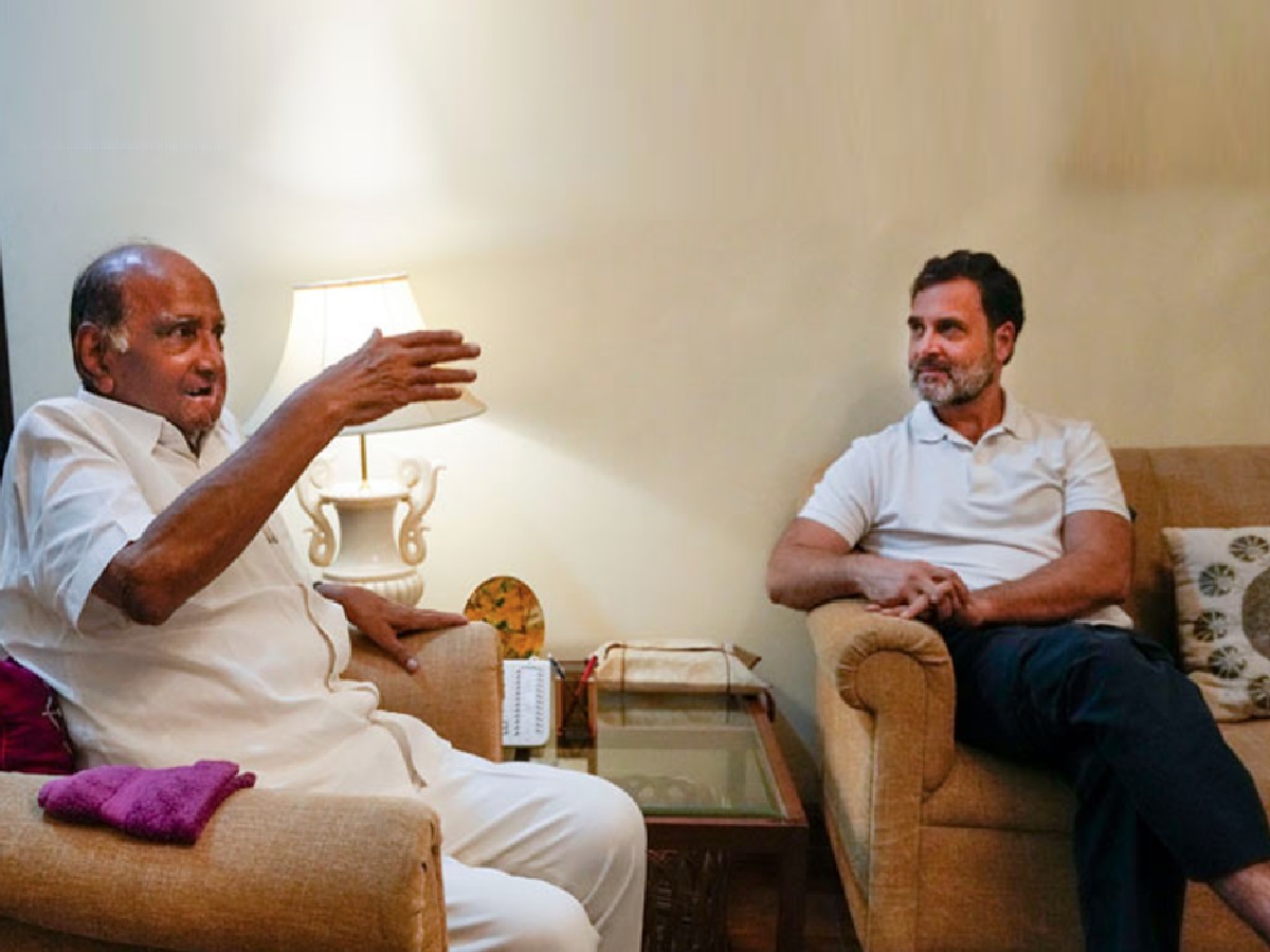 पवार गट काँग्रेसमध्ये विलीन होणार? पवारांच्या विधानाने खळबळ; म्हणाले, 'काँग्रेस आणि आमच्या..' पवार गट काँग्रेसमध्ये विलीन होणार? पवारांच्या विधानाने खळबळ; म्हणाले, 'काँग्रेस आणि आमच्या..'