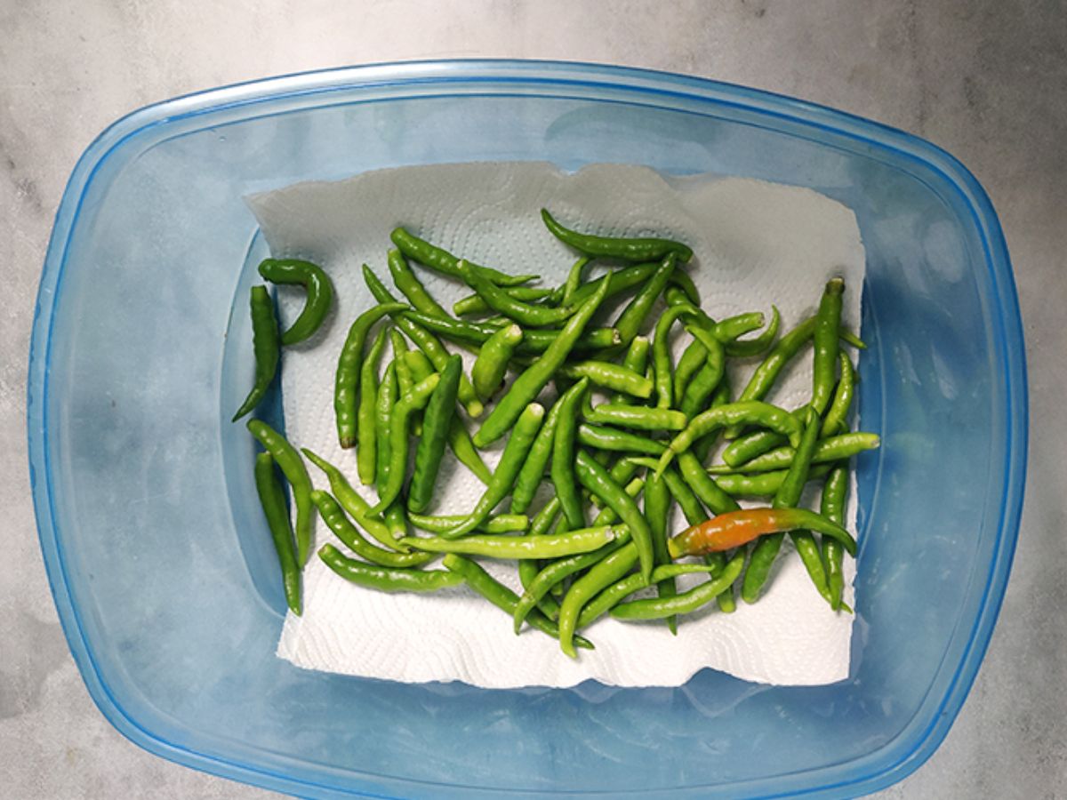 kitchen hacks in marathi how to store green chilly in fridge