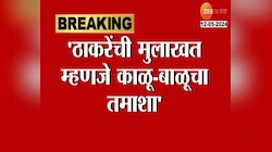 VIDEO | 'ही मुलाखत म्हणजे काळू बाळूचा तमाशा', भाजपची उद्धव ठाकरेंवर टीका