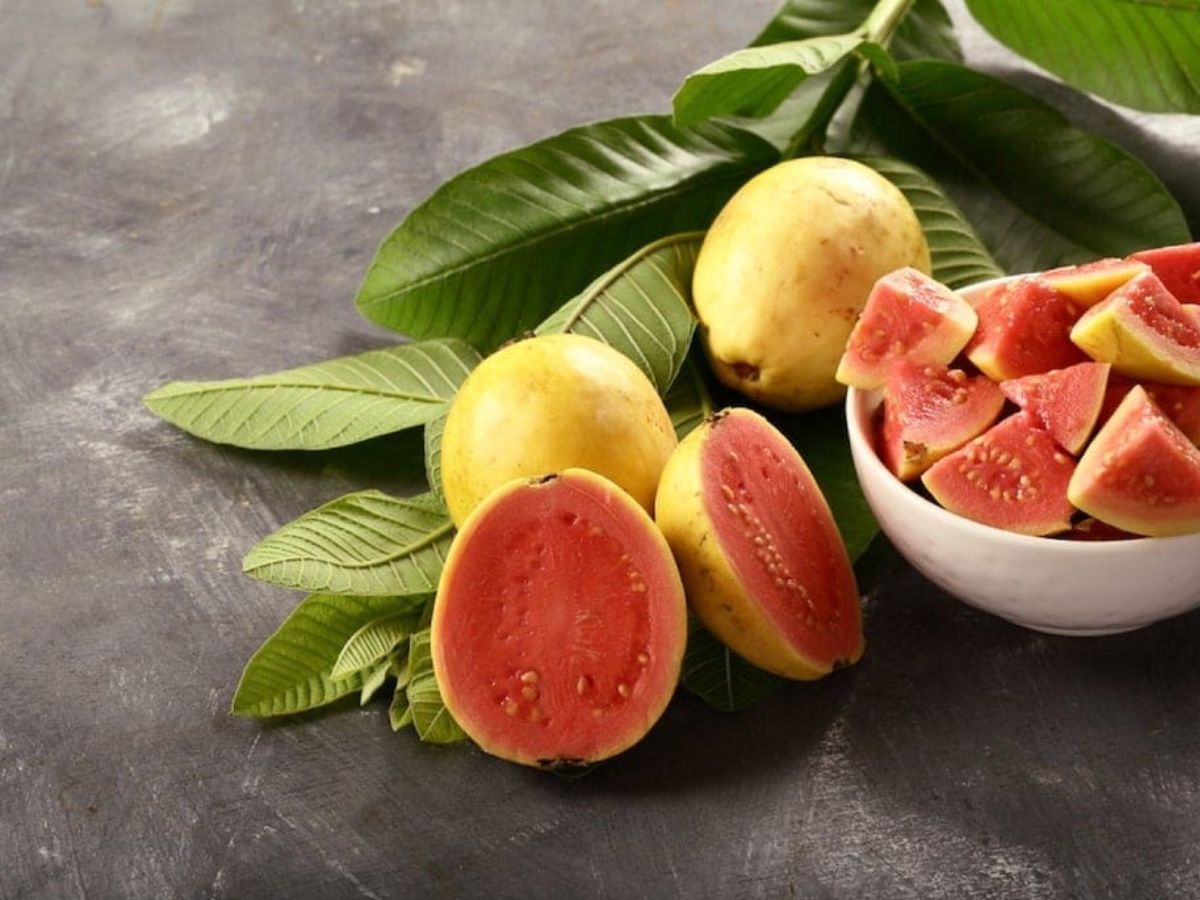 health Benefits of Guava for diabetes patients control sugar 