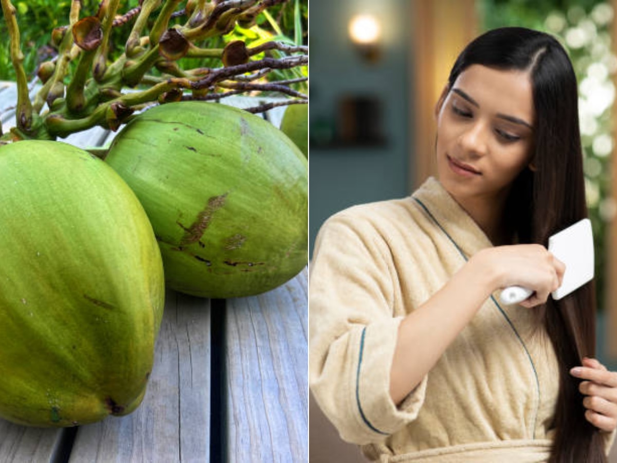 Coconut Water Benefits for Strong Hair And Thickness; फक्त त्वचाच नाही तर नारळ पाण्यामुळे केसही