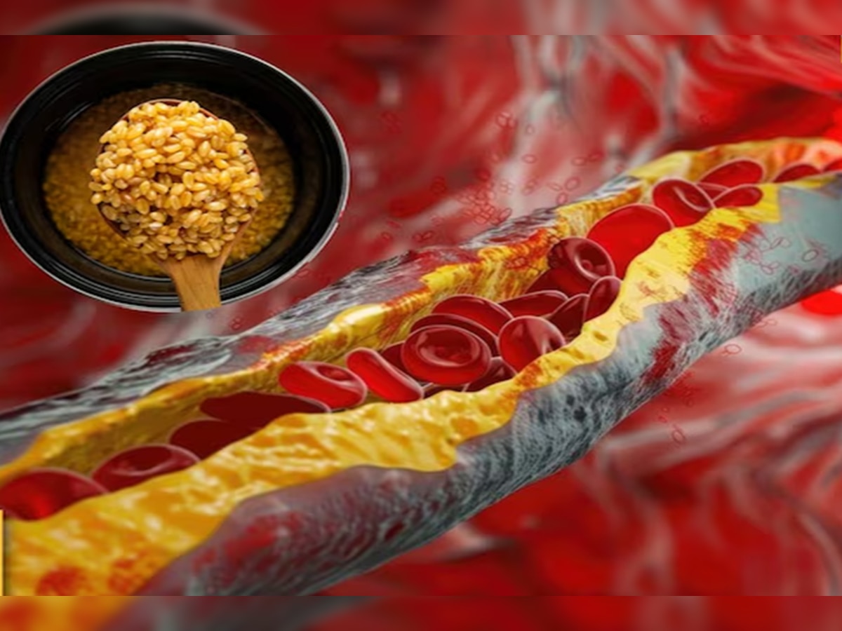 'हे' शक्तिशाली धान्य रोज उकळून खा! रक्तवाहिन्यांमधील Cholesterol घटवण्यास करेल मदत title=