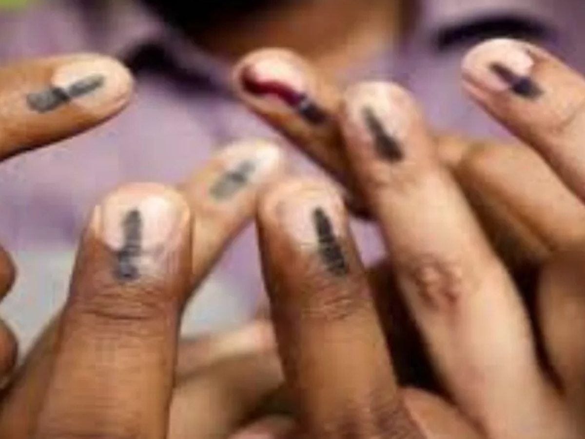 Loksabha Election 2024 Voters ink Unknown Facts Marathi News