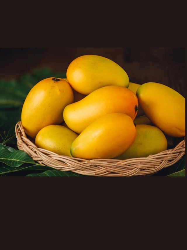 Mangoes fresh for longer Tips Marathi News