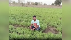 स्पर्धा परीक्षेत अपयश, पण तो खचला नाही...! गावी गेला अन् शेतीतून घेतलं लाखोंचं उत्पन्न