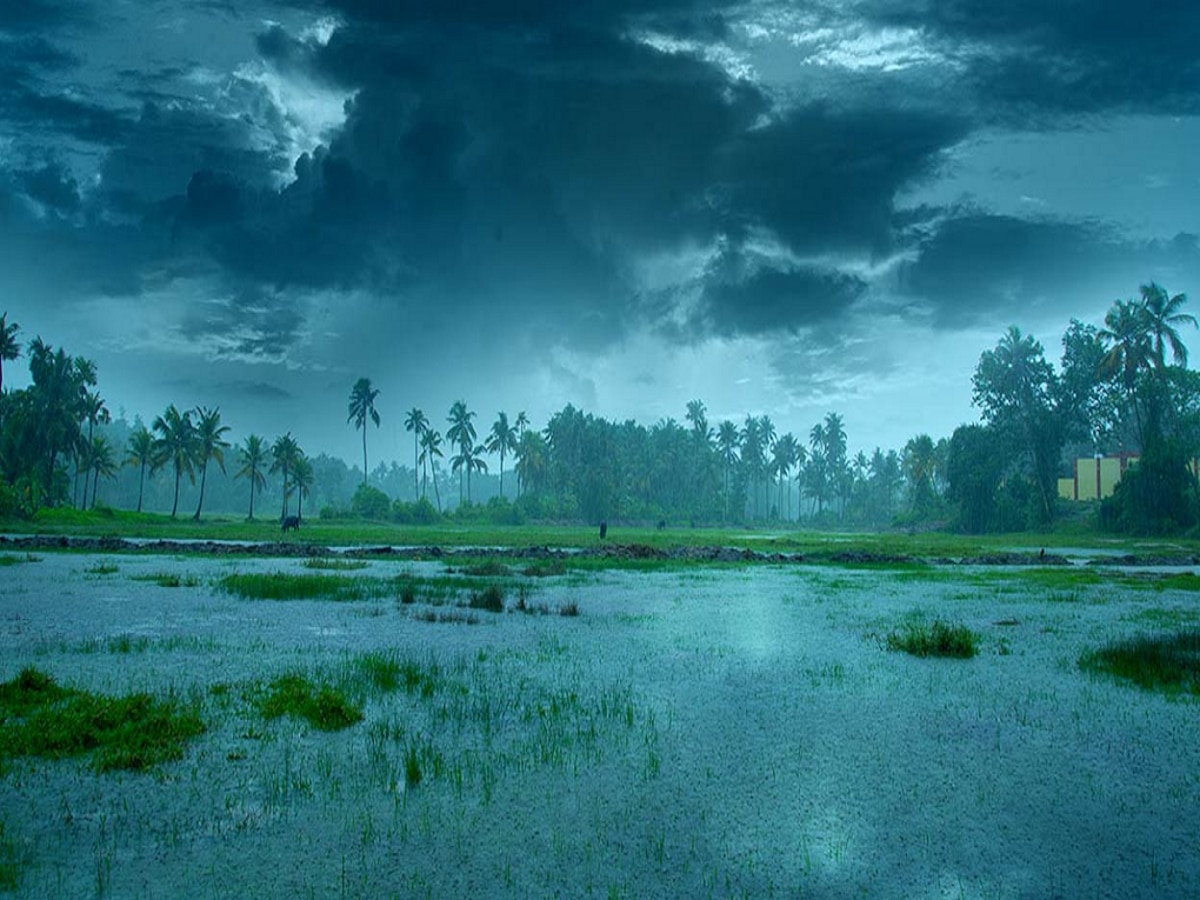 Monsoon In India: 'रेमल' चक्रीवादळामुळं मान्सून...; कुठवर पोहोचले मोसमी वारे? IMD कडून महत्त्वाचे Updates title=