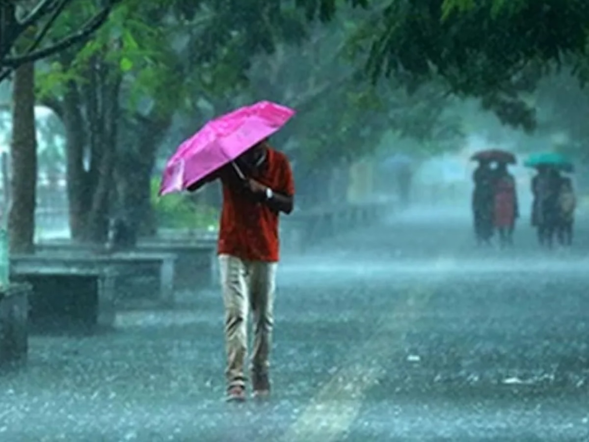 Maharastra Unseasonal Rain : पुढील 48 तास महत्त्वाचे! राज्याच्या 'या' भागात मेघगर्जनेसह पावसाची शक्यता  title=