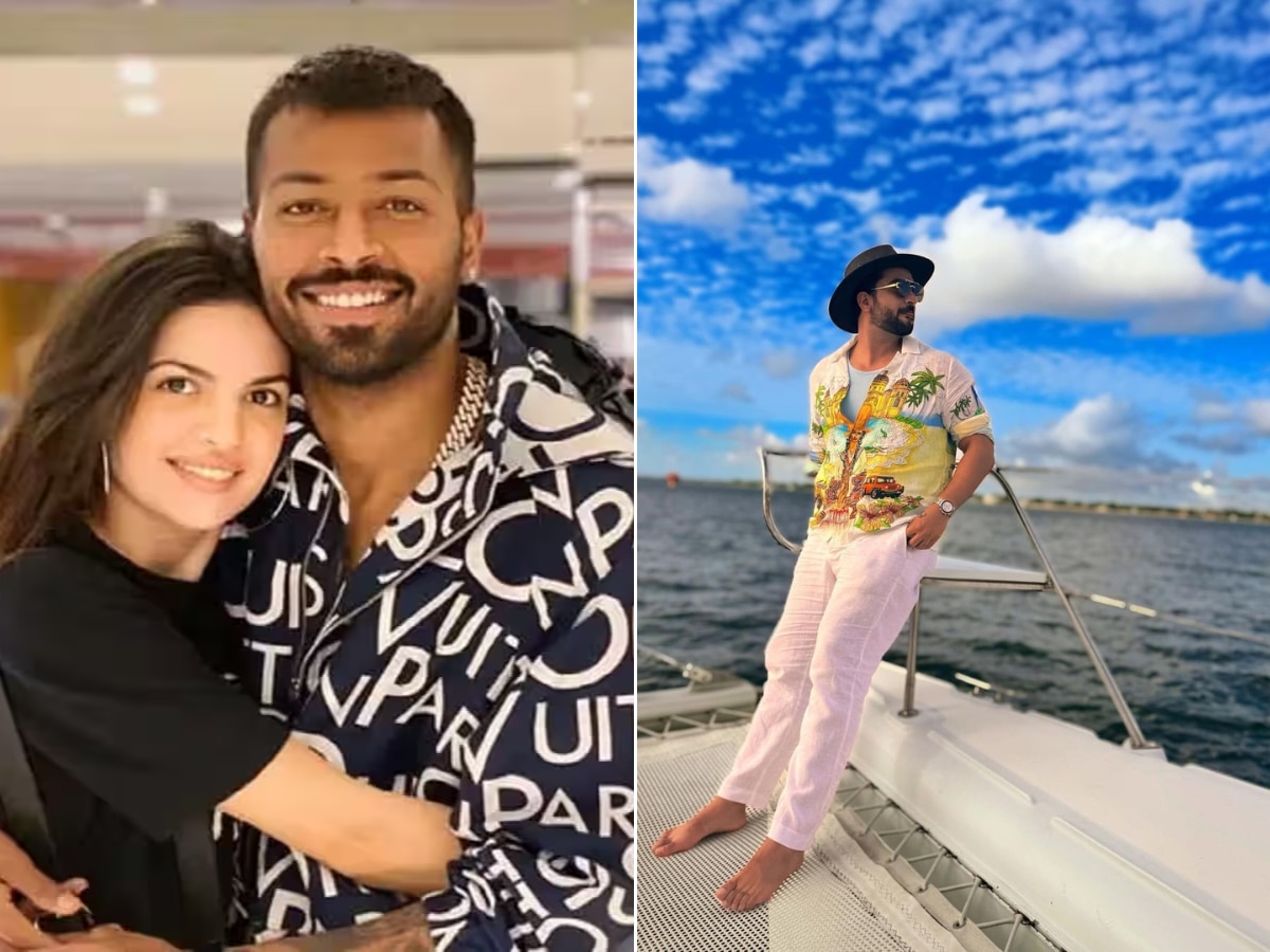 नताशाचा Ex Boyfriend अली गोनीची संपत्ती किती? Hardik Pandya च्या आसपास ही नाही  title=