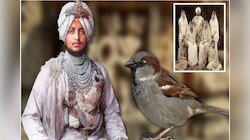 'या' राजाच्या होत्या 350 राण्या आणि 88 मुलं, लैंगिक उत्तेजना वाढवण्यासाठी खायचा चिमणीच्या मेंदूपासून बनवलेले औषध