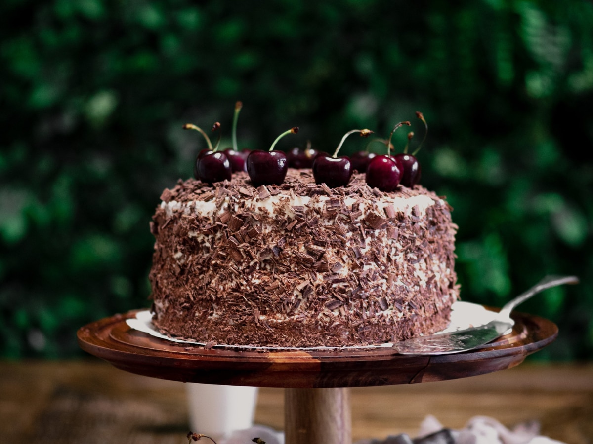 what is the relation between black forest cake and dense forest know interesting facts 