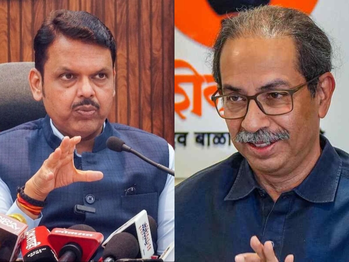 Maharashtra Lok Sabha Election 2024 Result: महाविकास आघाडीत उद्धव ठाकरेच मोठा भाऊ, भाजपाची स्थिती काय? title=