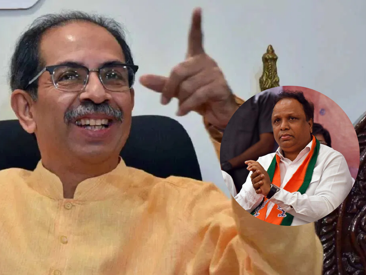'तुम्ही मर्द आहात आशिषजी, शब्दाला जागा आणि राजकारण सोडा'; ठाकरे गटाकडून सल्ला 'तुम्ही मर्द आहात आशिषजी, शब्दाला जागा आणि राजकारण सोडा'; ठाकरे गटाकडून सल्ला