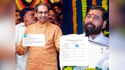 LokSabha Election Result: उद्धव ठाकरेंपेक्षा शिंदे गटाचा जास्त जागांवर विजय, शिवसेना नेत्याच दावा, 'हिरव्या मतांवर उबाठाची मदार'
