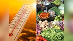 Food Inflation: मटण थाळी स्वस्त, शाकाहार महागला; मे महिन्यात अशी वाढली महागाई