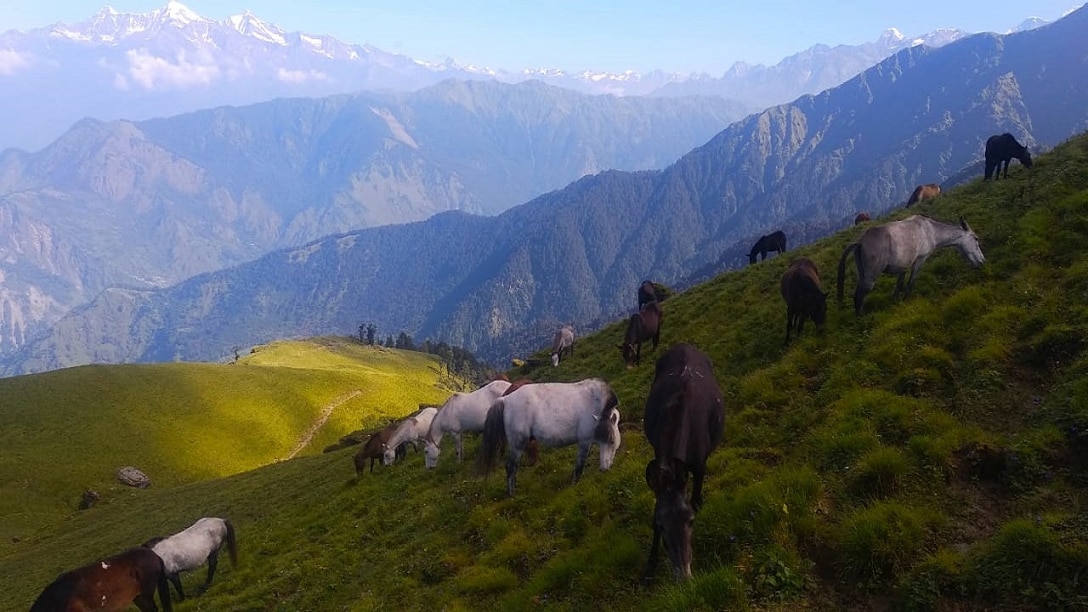 Uttarakhand Sahastratal trek Bodies of 4 more state trekkers recovered latest updates 