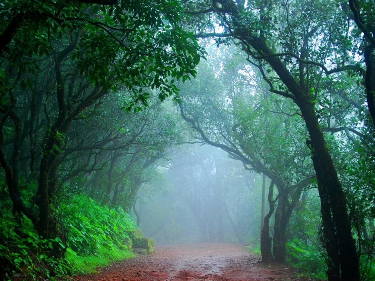 Matheran news mini train to hault for 4 months due to monsoon 