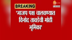 VIDOE | विनोद तावडे मोठे झाल्यास मला खूप आनंद होईल - पाटील 