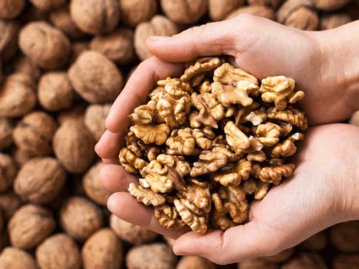 From Increase Brain Power To Weight Loss Know 5 Amazing Health Benefits Of Walnut