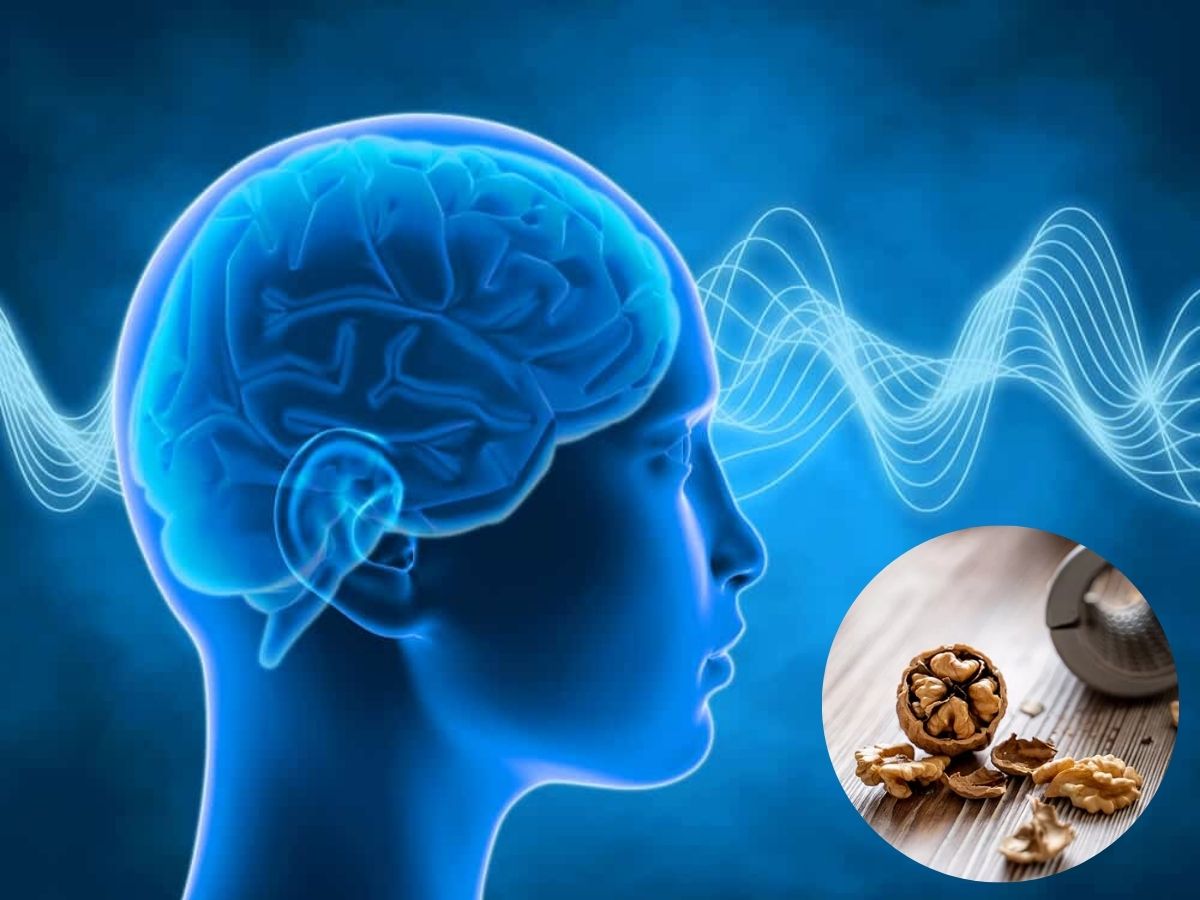 From Increase Brain Power To Weight Loss Know 5 Amazing Health Benefits Of Walnut