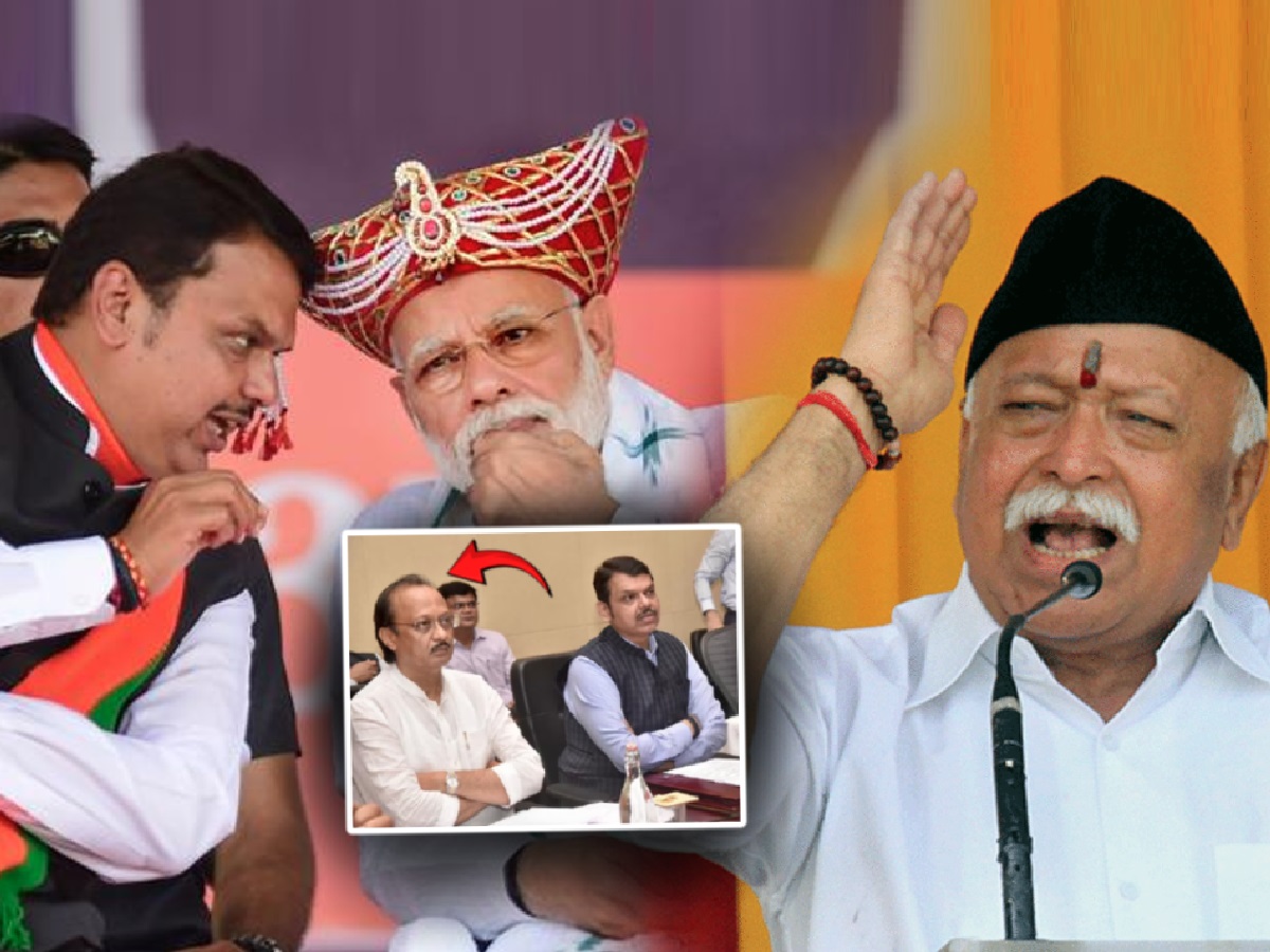 बहुमत असताना अजित पवारांना सोबत का घेतले? RSS चा भाजपाला सवाल; काढली खरडपट्टी बहुमत असताना अजित पवारांना सोबत का घेतले? RSS चा भाजपाला सवाल; काढली खरडपट्टी