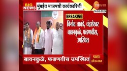 VIDEO | मुंबईत भाजप कार्यकारिणीची बैठक, लोकसभा पराभवाचं चिंतन करणार