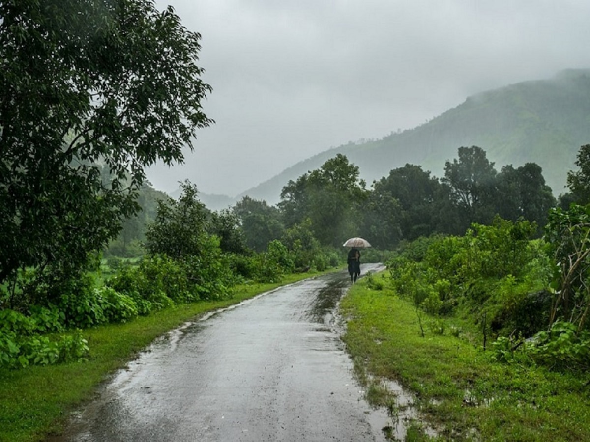 Maharashtra Weather News : 'या' भागांमध्ये मंदावला मान्सून; 'इथं' मात्र जोरदार हजेरी, राज्यातील पर्जन्यमानाचं सविस्तर वृत्त  title=