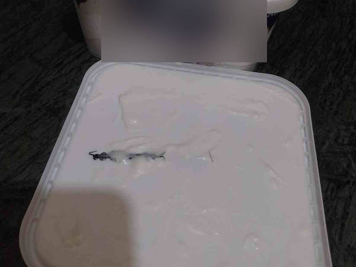 मुंबईनंतर आता नोएडा!महिलेने ऑनलाइन मागवलेल्या आइस्क्रीमचा डब्बा उघडला, समोरच दृश्य पाहून अंगावर शहाराच आला title=