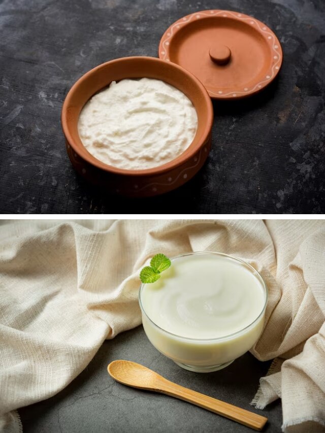 What is the difference between yogurt and curd?