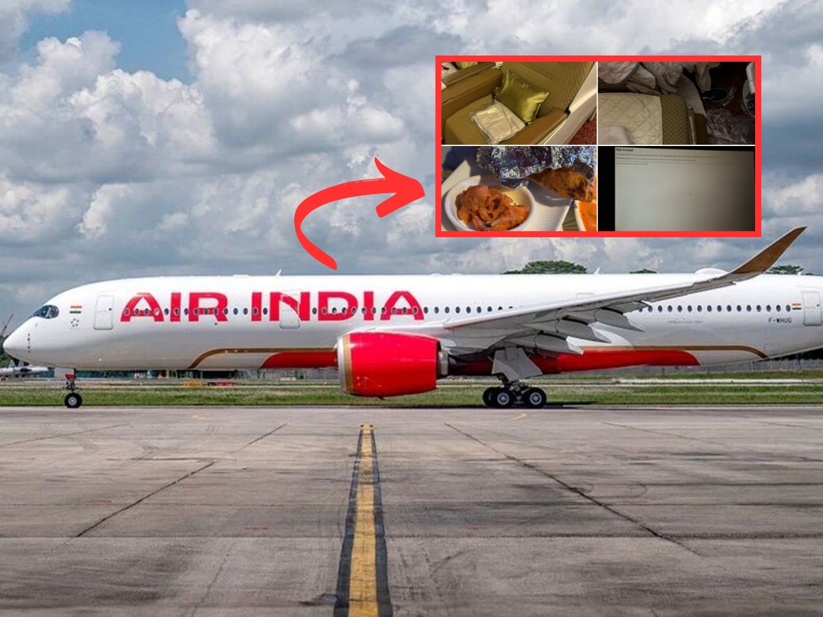 Air India च्या प्रवाशाची  'हॉरर स्टोरी'; 500000 रुपयांच्या तिकिटावर मिळाली घाणेरडी सीट, अर्धवट शिजलेलं जेवण आणि... title=