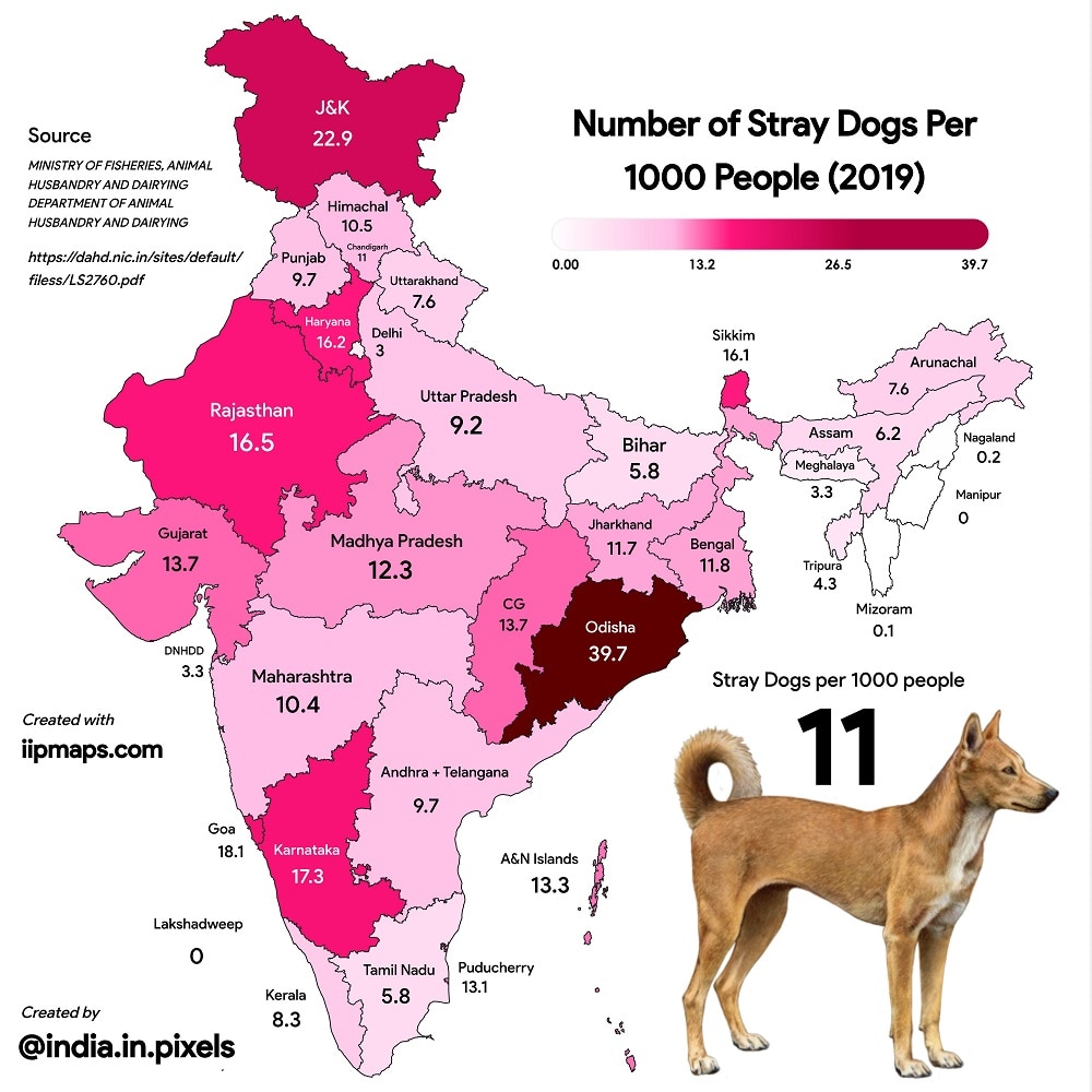 stray dogs exist in India each state