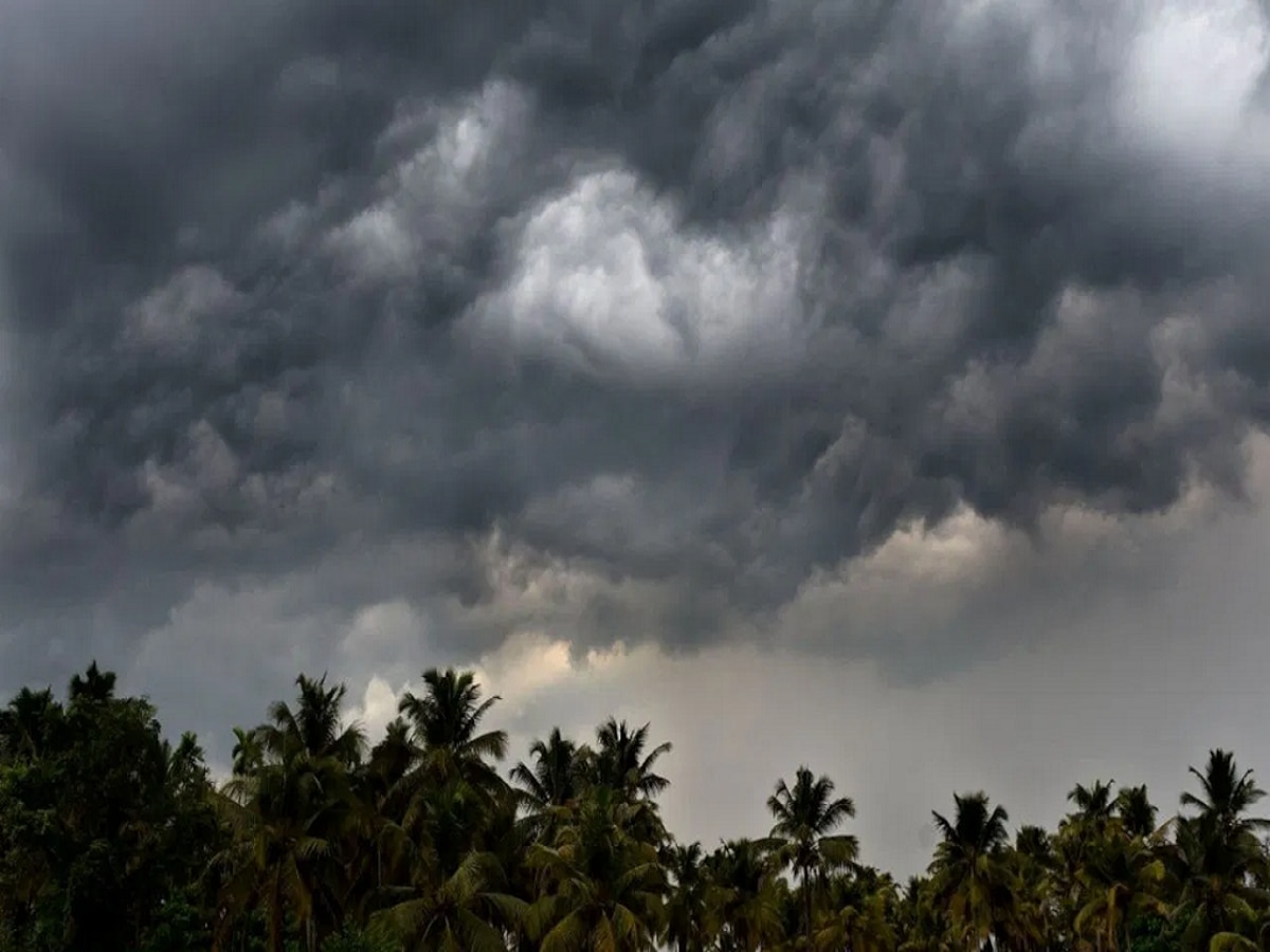 Maharashtra Weather News : किमान दिलासा! मुंबईसह उपनगरात पावसाची संततधार; कोकणात मुसळधार पावसाचा इशारा   title=