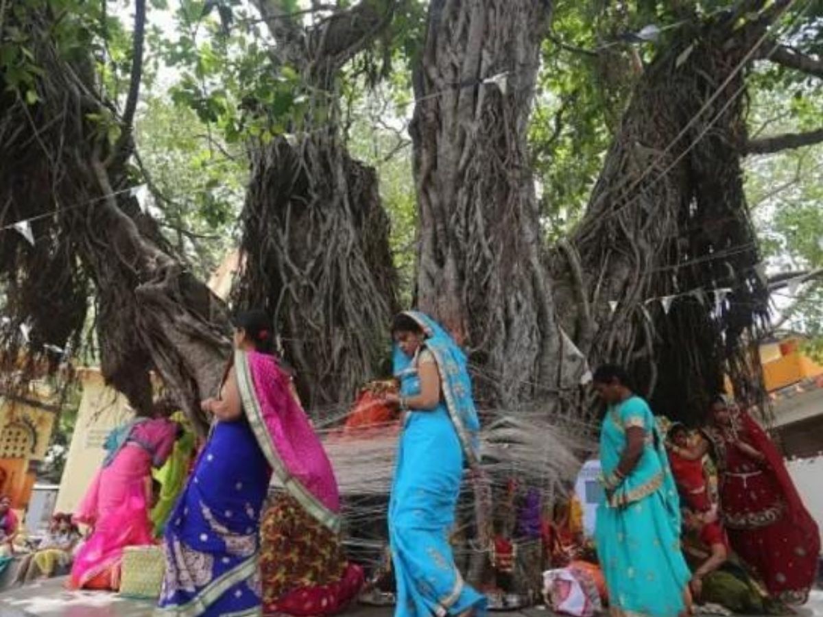 वटसावित्रीच्या पूजेला 'हा' श्लोक नक्की म्हणा   title=