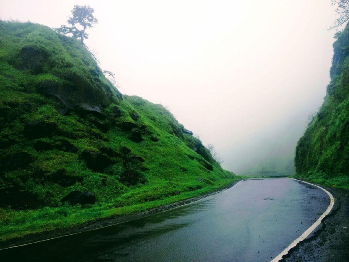 Maharashtra Weather News : किनारपट्टीसह पश्चिम घाटात सरीवर सरी; मुंबईत मात्र काळ्या ढगांचा चकवा, पाऊस गेला तरी कुठं?  title=