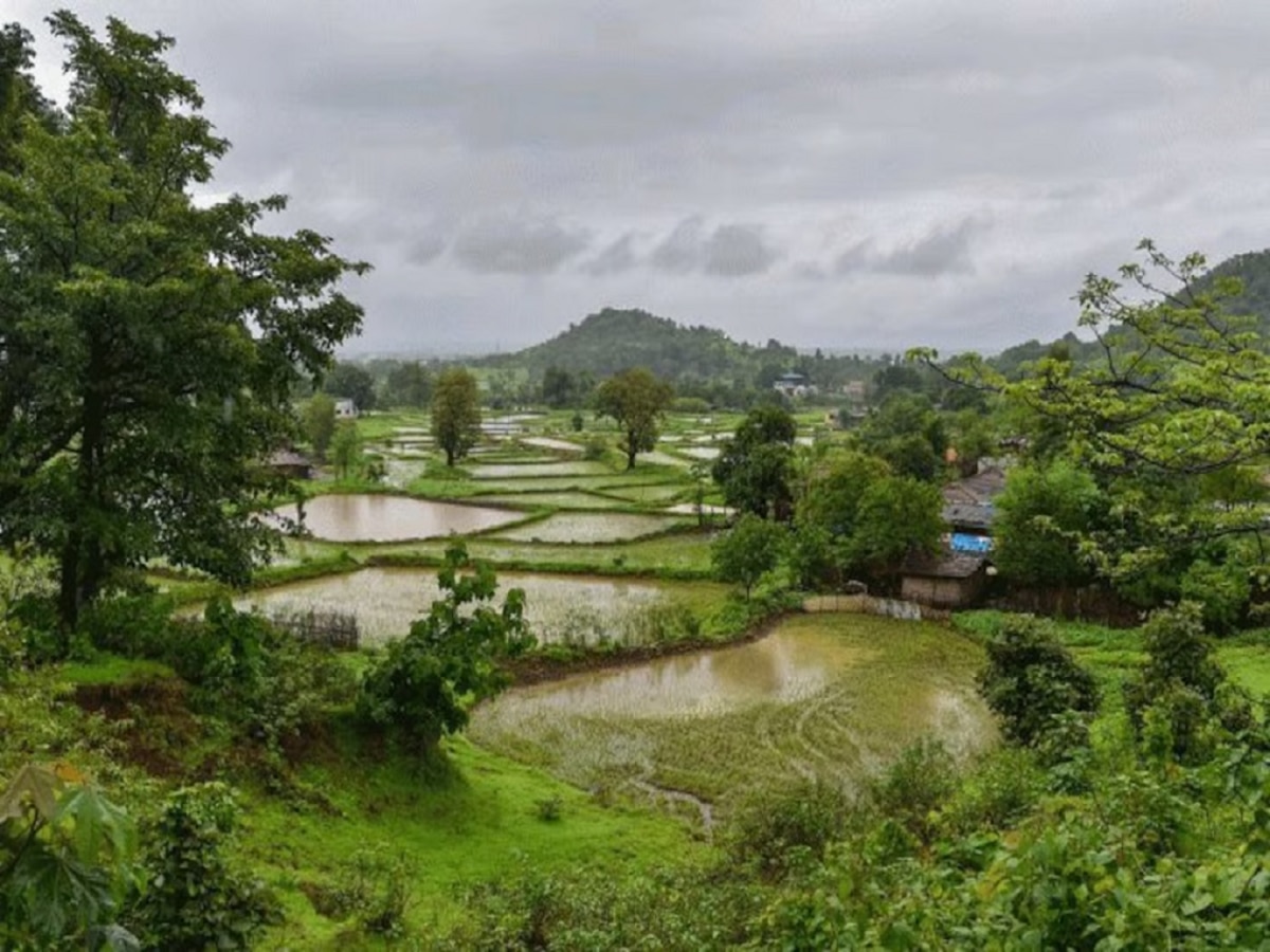 Weather News : सावध व्हा! ढगांच्या दाटीमुळं वादळी वाऱ्यासह पावसाची शक्यता; राज्यातील 'या' भागाला झोडपणार  title=