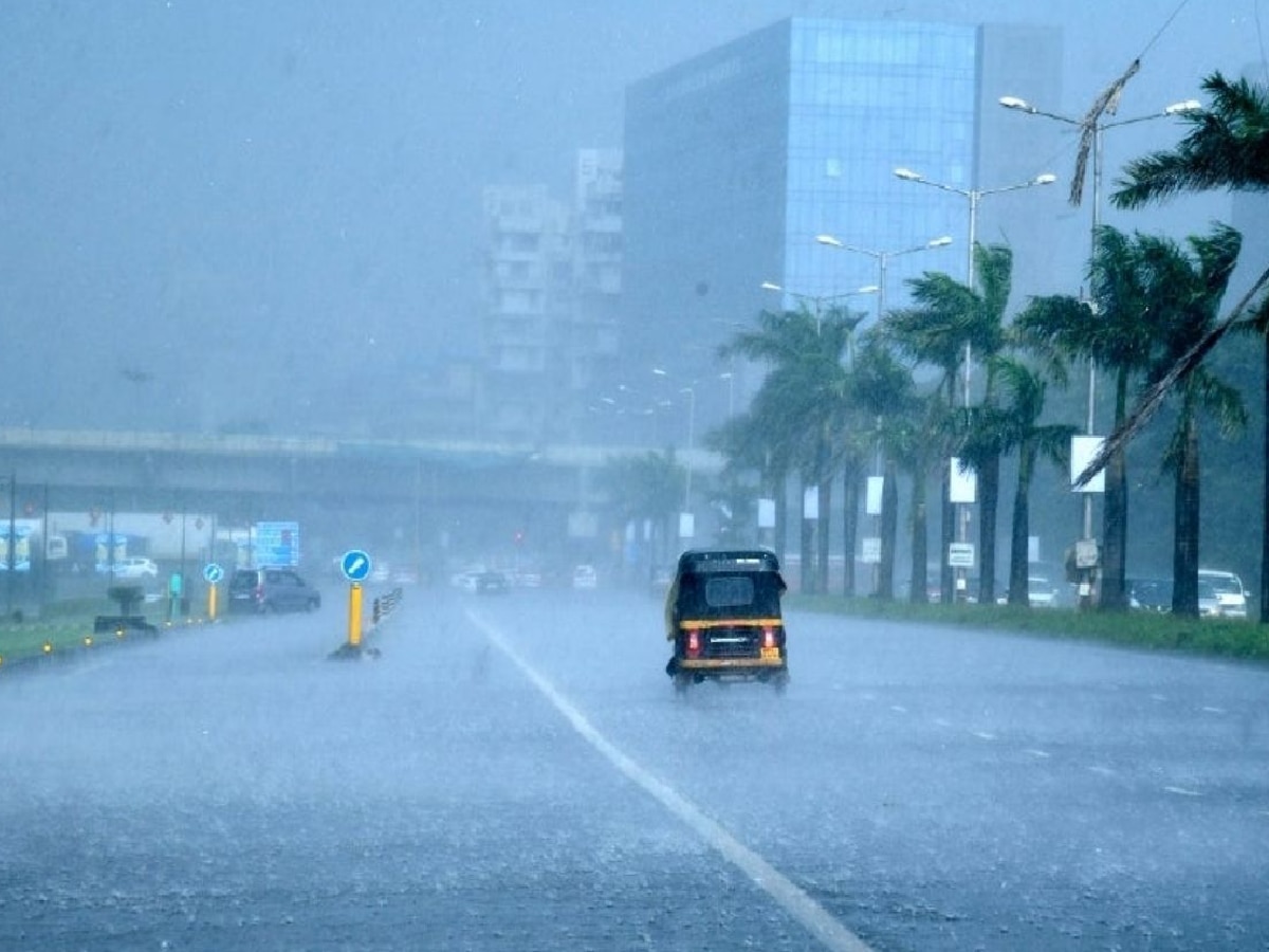 Weather Update: राज्यात 'या' ठिकाणी पुढचे 2-3 दिवस पावसाचा जोर वाढणार, हवामान विभागाने वर्तवला अंदाज title=