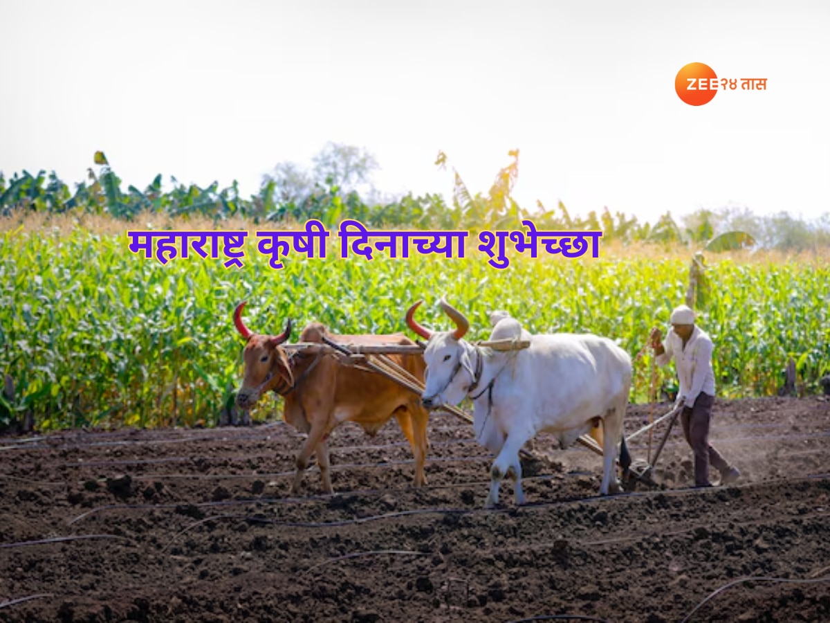 Maharashtra Krishi Din Wishes in Marathi Quotes WhatsApp Status And ...