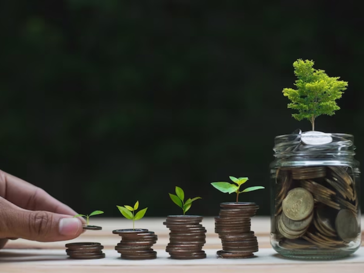 SIP Calculator Mutual Fund Retirnment Planning Investment Personal Finance Marathi News