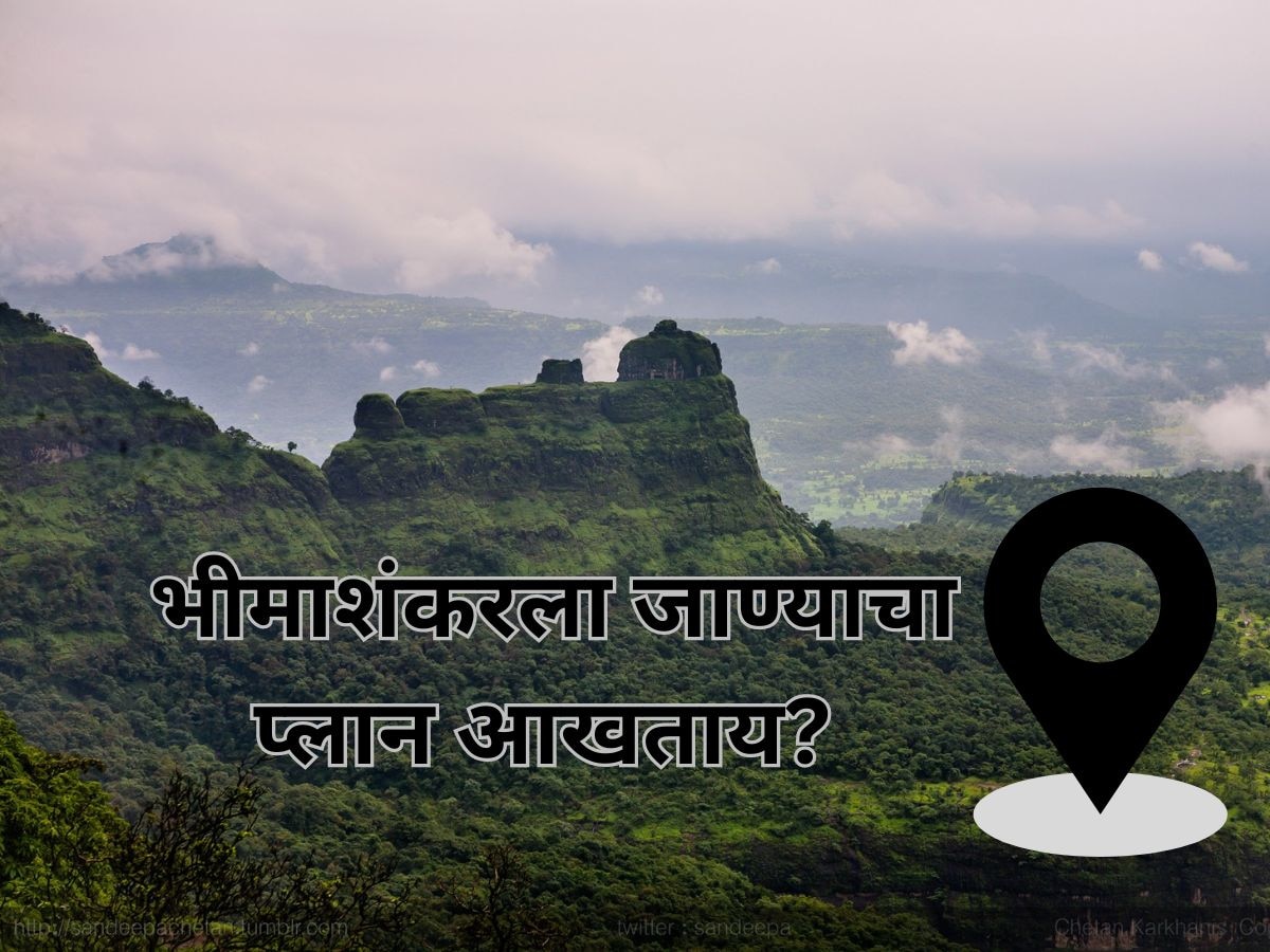 लोणावळा दुर्घटनेनंतर आता भीमाशंकर वनविभागाचा मोठा निर्णय; 'या' पर्यटनस्थळांवर बंदी title=