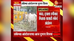 Nilesh Lanke: अहमदनगरमध्ये लंकेंच्या आंदोलनाचा आज दुसरा दिवस 