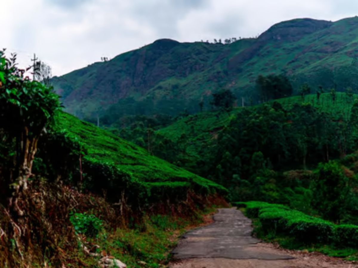 मुंबईला अद्यापही पावसाची प्रतीक्षा, तर 'या' जिल्ह्यांना अलर्ट; हवामान विभागाचा इशारा