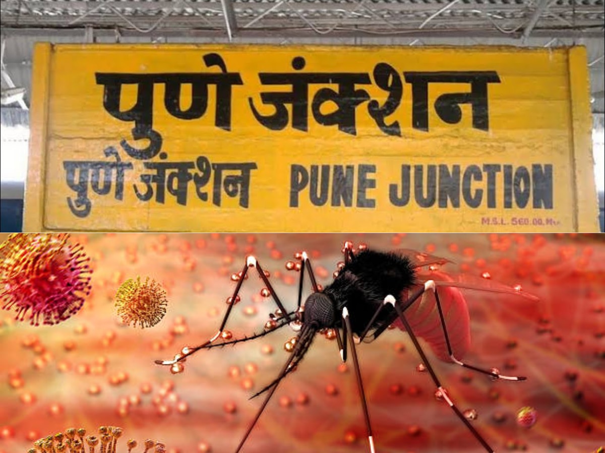 Zika Virus चा पुण्यात कहर, रुग्णसंख्येत वाढ; काय आहेत लक्षणं?