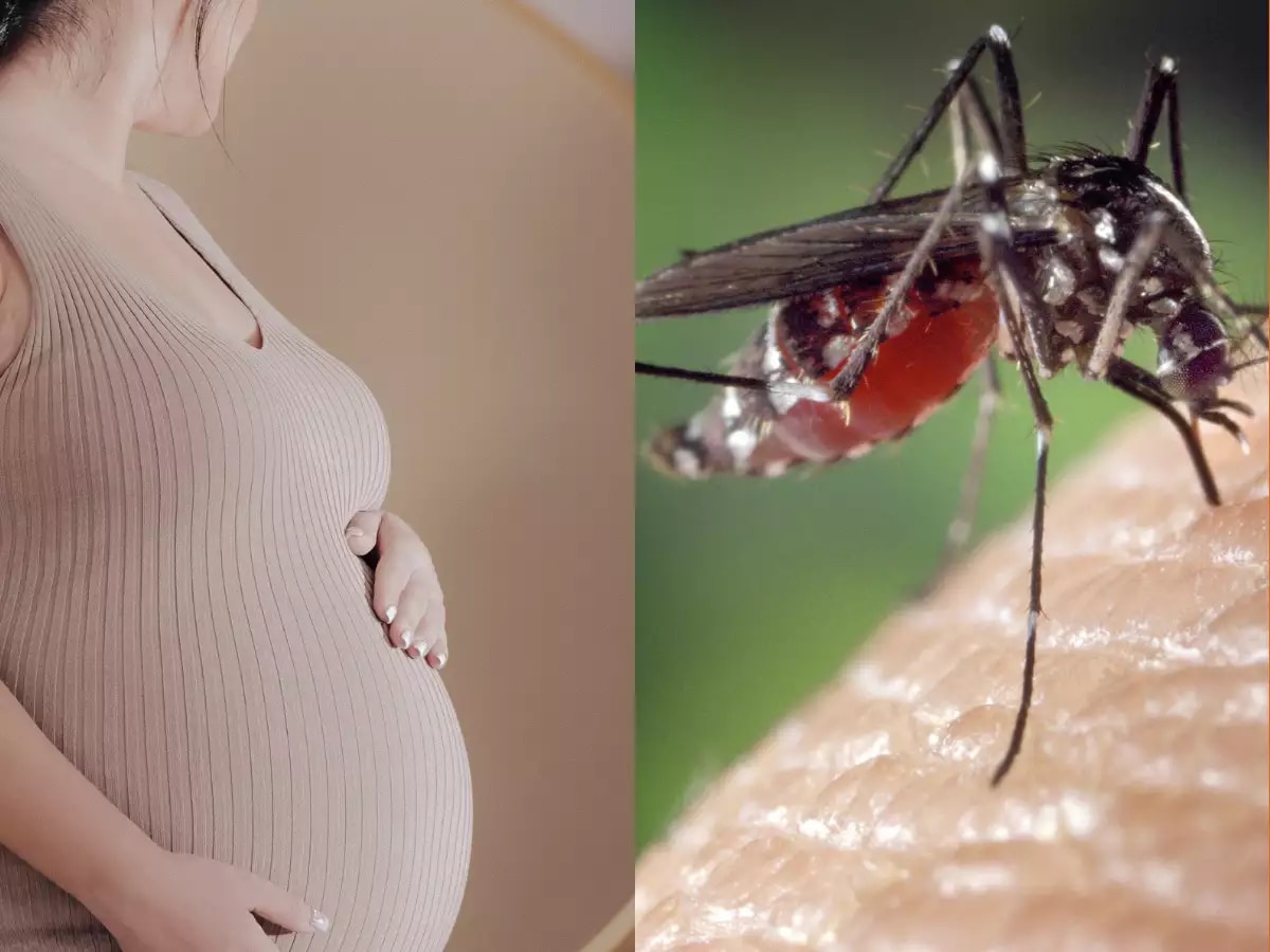 Zika Virus: गर्भवती महिलांना झिका व्हायरसचा धोका कितपत? आरोग्य तज्ज्ञांनी सांगितलं, कशी घ्यावी काळजी! title=