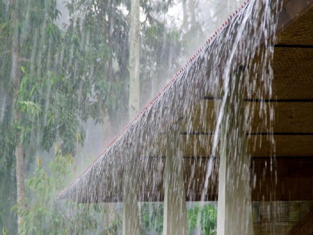 Maharashtra Weather News : आठवड्याची सुरुवात दमदार पावसानं; पाहा कोणत्या भागावर मान्सूनची कृपा, अन् कुठे देणार दणका