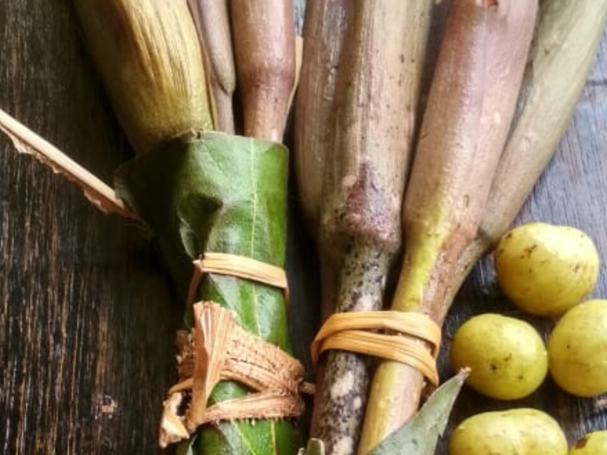 9 Rainy Season Vegetables In Maharashtra Monsoon Foods Health Benefits 