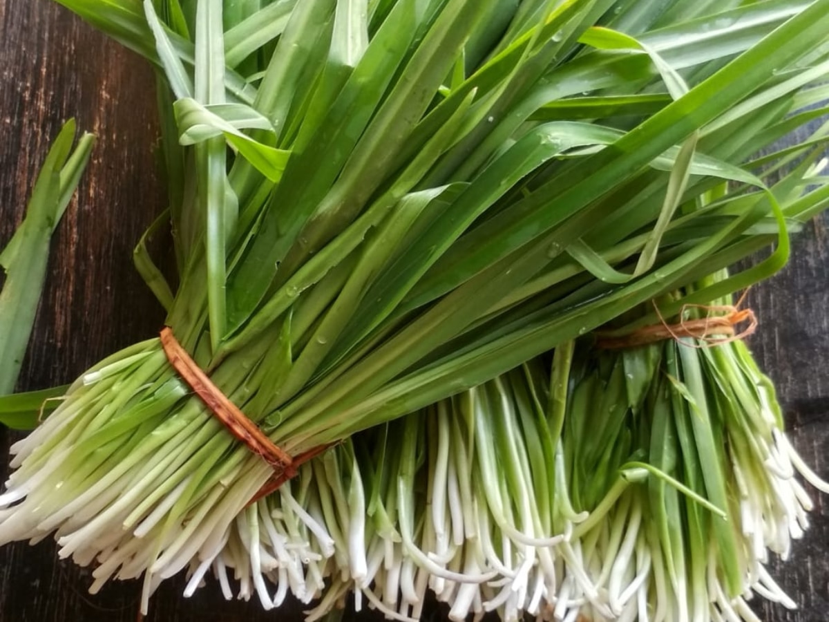 9 Rainy Season Vegetables In Maharashtra Monsoon Foods Health Benefits 
