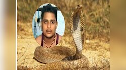 40 दिवसात 7 वेळा साप चावला, तरुणाच्या दाव्याची पोलखोल... हैराण करणारी कहाणी