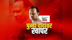 राष्ट्रवादी काँग्रेसबरोबरची युती भोवली, भाजपाच्या कामगिरीवरून राष्ट्रवादीवर खापर