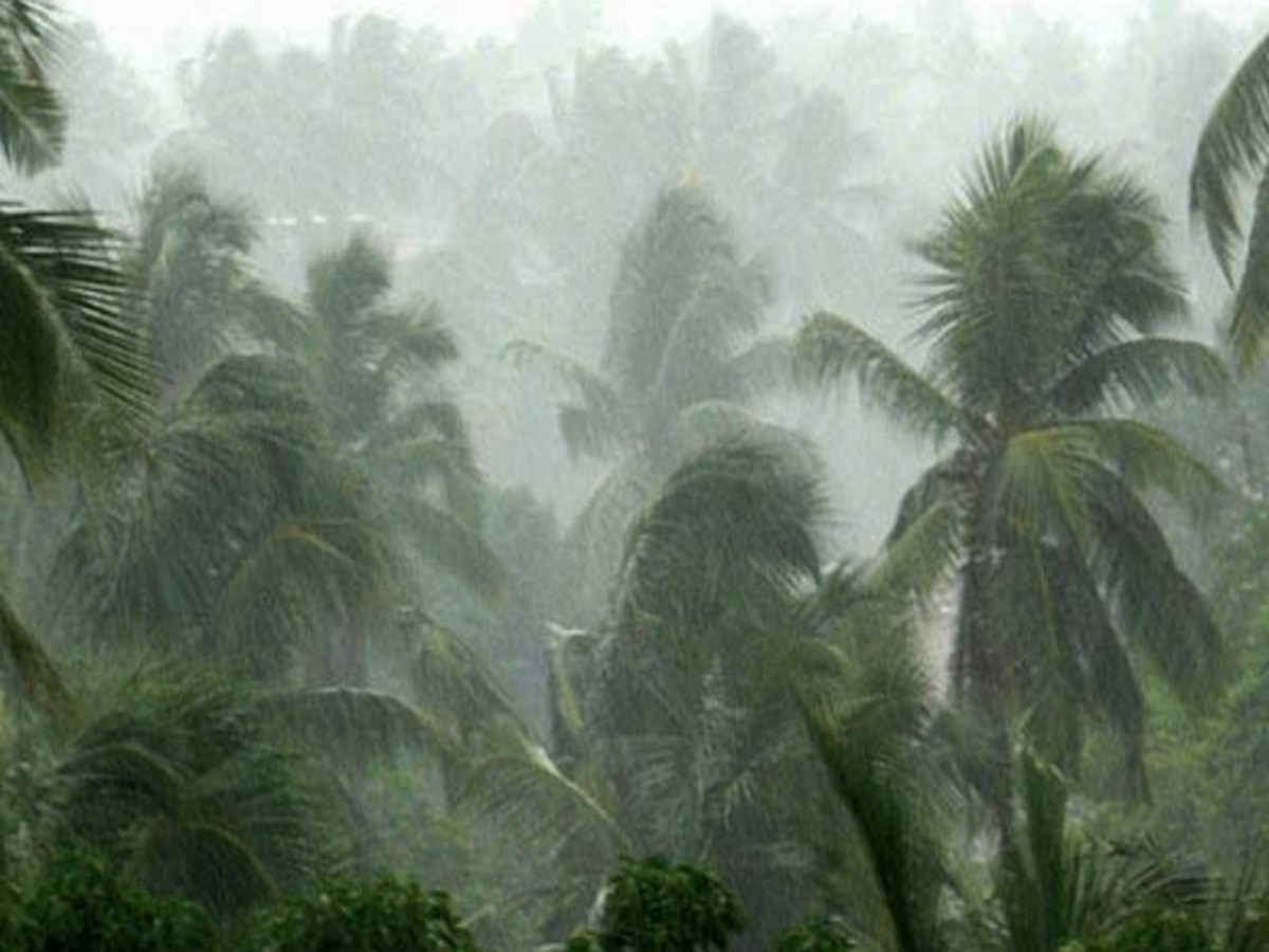 Maharashtra Weather News : कोकणासह मुंबई, उपनगरात मुसळधार; ‘या’ इशाऱ्याकडे अजिबात दुर्लक्ष नको