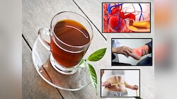 Cholesterol Home Remedy : 'या' झाडाची पाने खूप प्रभावी! कोलेस्ट्रॉल ते यूरिक अ‍ॅसिडवर फायदेशीर 